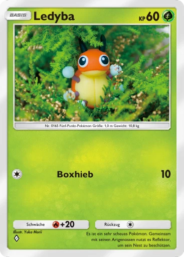 Ledyba