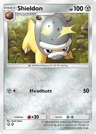 Shieldon