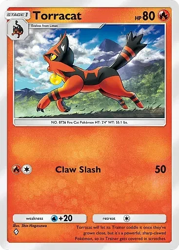 Torracat