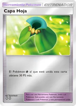 Capa Hoja
