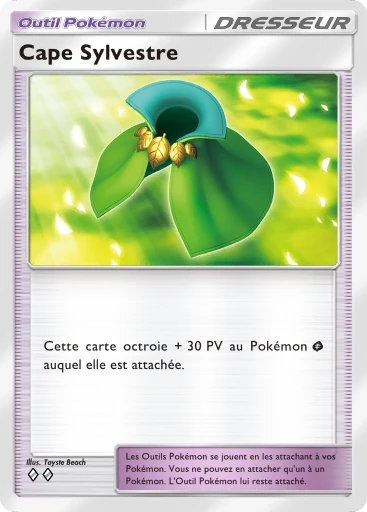 Cape Sylvestre