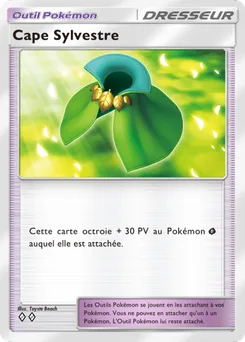 Cape Sylvestre