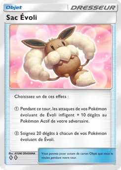 Sac Évoli
