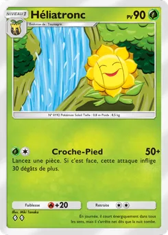 Flore solaire