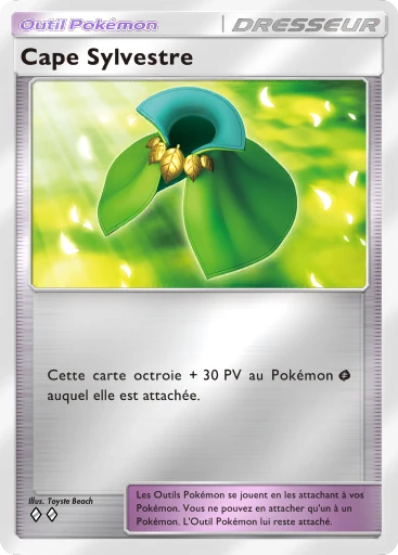 Cape Sylvestre