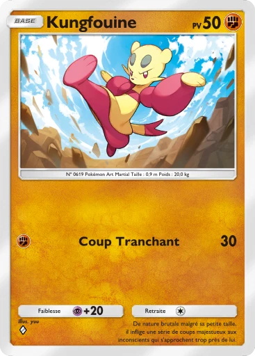 Kungfouine