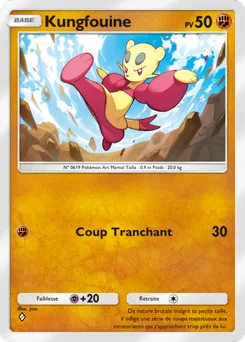 Kungfouine