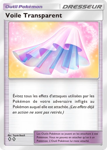 Voile Transparent