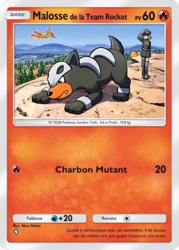 Malosse de la Team Rocket