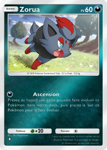 Zorua
