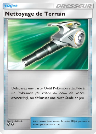 Nettoyage de Terrain