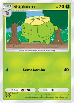Skiploom