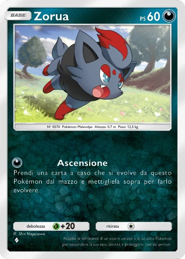 Zorua
