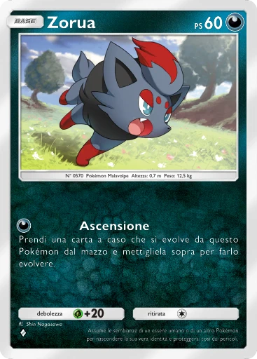 Zorua