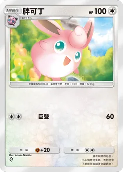 胖可丁