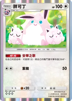 胖可丁