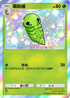 鐵殼蛹