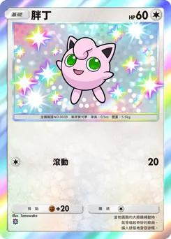 胖丁