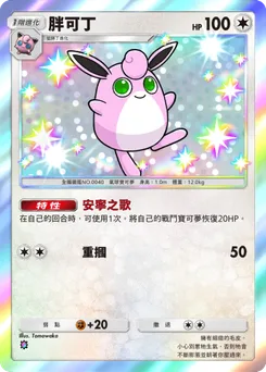 胖可丁