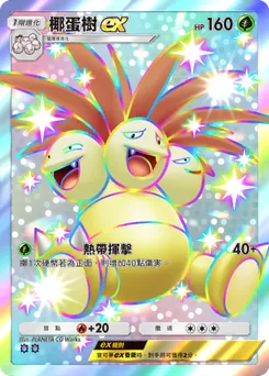 椰蛋樹 ex