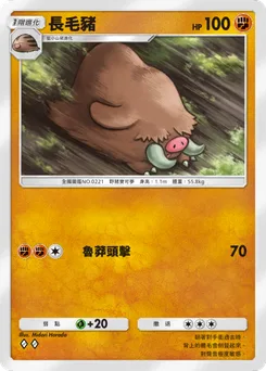 長毛豬