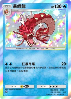 暴鯉龍