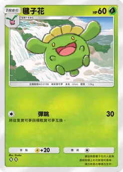 毽子花