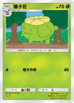 毽子花