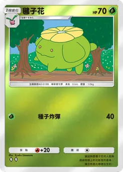 毽子花
