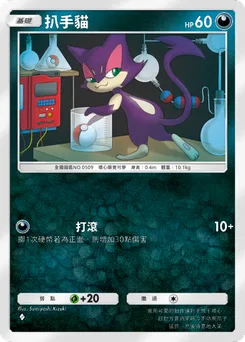 扒手貓
