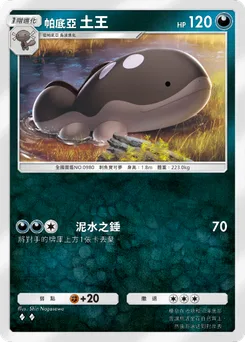 帕底亞 土王