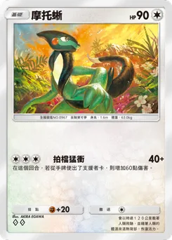摩托蜥