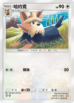 哈約克