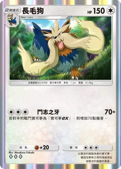 長毛狗