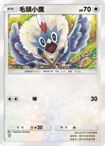 毛頭小鷹