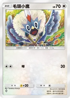 毛頭小鷹