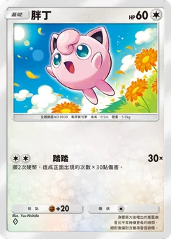 胖丁