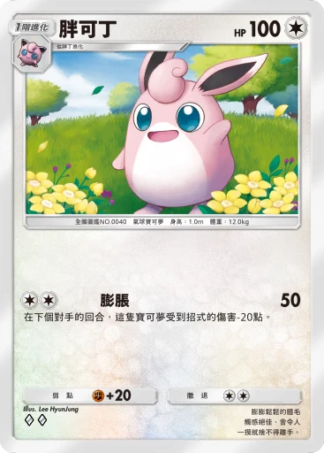 胖可丁