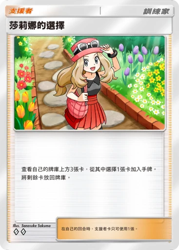 莎莉娜的選擇