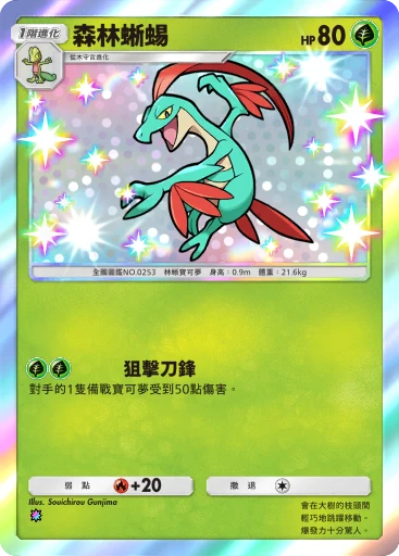 森林蜥蜴