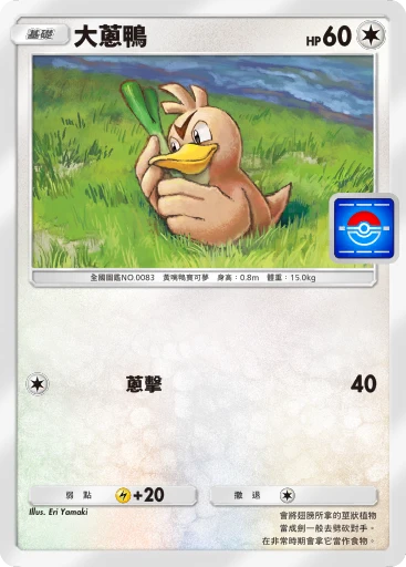 大蔥鴨