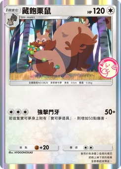 藏飽栗鼠