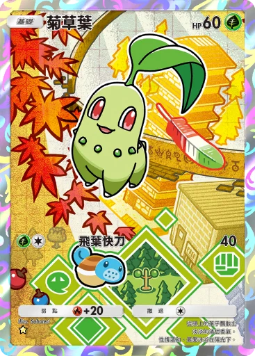 菊草葉